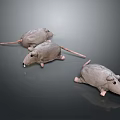 Three Soft Gray Plush Mice Stuffed Toys Posing On Dark Reflective Surface
