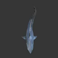 Realistic Blue Shark 3D Rendered With Open Mouth And Lifelike Swimming Pose