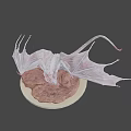 White Mythical Dragon Game Movie Character With Large Wings Standing On Rocky Terrain