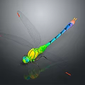 Detailed Vibrant Dragonfly With Colorful Body Transparent Wings And Iridescent Reflections