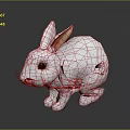 White Rabbit With Red Eyes And Pink Inner Ears Sitting On Dark Reflective Surface