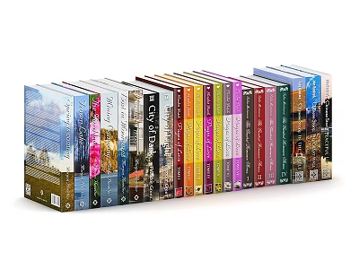 Row Of Colorful Books With Diverse Cover Designs Neatly Arranged 3d model
