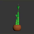 Household Decorative Green Bamboo in Orange Pot with Slender Stems and Fresh Leaves