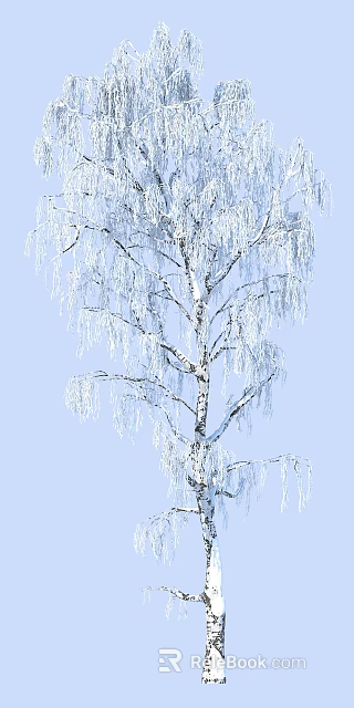 Snow Covered Birch Tree With Frosty Branches Against Clear Blue Sky 3d model 