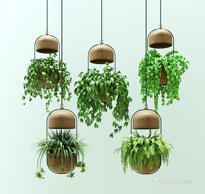 Various Hanging Baskets with Lush Green Plants for Stylish Indoor Decoration 3d model 