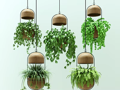 Various Hanging Baskets with Lush Green Plants for Stylish Indoor Decoration 3d model