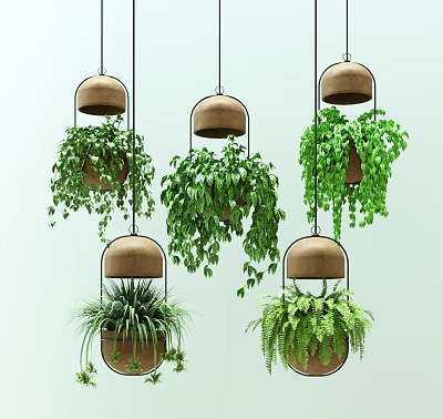 Various Hanging Baskets with Lush Green Plants for Stylish Indoor Decoration 3d model