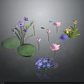 Vibrant Water Plants Featuring Pink Purple Lotus Yellow Flowers Green Leaves And Hydrangea