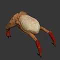 Game and Movie Character with White Round Body Red Long Legs Sharp Claws