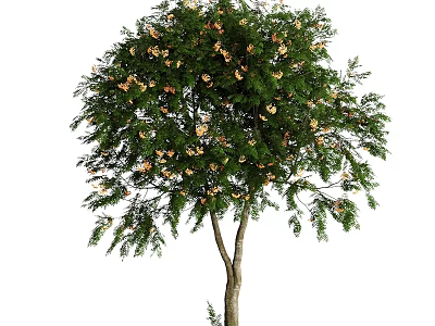 Lush Tree With Green Leaves And Yellow Flowers In Natural Scene 3d model