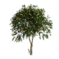 Lush Tree With Green Leaves And Yellow Flowers In Natural Scene