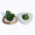 Modern Outdoor Chairs With Circular Design Wooden And White Frames Featuring Potted Plants