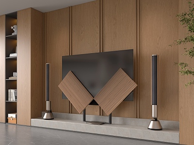 Modern TV model