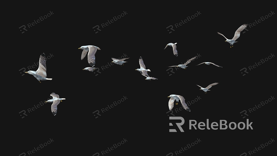 Seagull Cartoon Seagull Cartoon Animal Cartoon Bird Bird Wild Goose Cartoon Wild Goose model