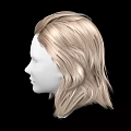 Human Head 3D Model Featuring Blonde Long Wavy Hair And White Facial Structure