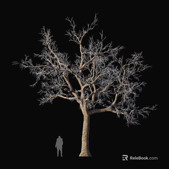 Decorative Ornament Set Featuring Bare Tree and Silhouette Figure on Black Background 3d model