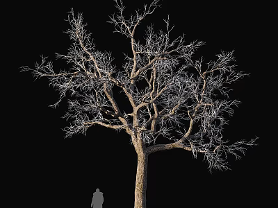 Decorative Ornament Set Featuring Bare Tree and Silhouette Figure on Black Background 3d model