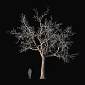 Decorative Ornament Set Featuring Bare Tree and Silhouette Figure on Black Background 3d model