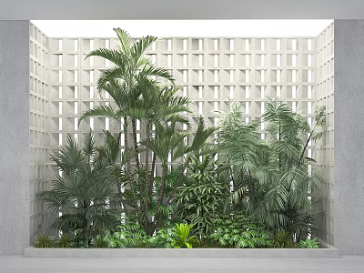 Indoor Tropical Plants With Concrete Block Wall 3d model