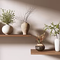 Modern Vase Floral Arrangements with Green Plants and Dried Branches on Wooden Shelves