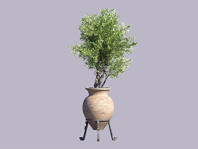 Bonsai Plant With Lush Green Foliage In Terracotta Pot On Black Metal Stand 3d model