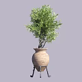 Bonsai Plant With Lush Green Foliage In Terracotta Pot On Black Metal Stand