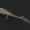 Prehistoric Aquatic Reptile With Sharp Teeth Open Mouth Flippers And Streamlined Body