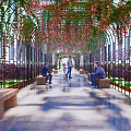 Scenic Pergola With Green Vines Red Flowers Benches Stone Pathway And People Walking