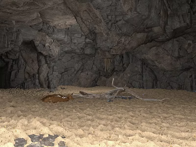 Cave Interior With Rocky Walls Sandy Ground Driftwood Branches And Animal Hide 3d model