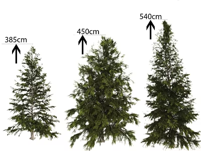 Decorative Pine Tree Ornament Set With Various Heights For Home Decor 3d model