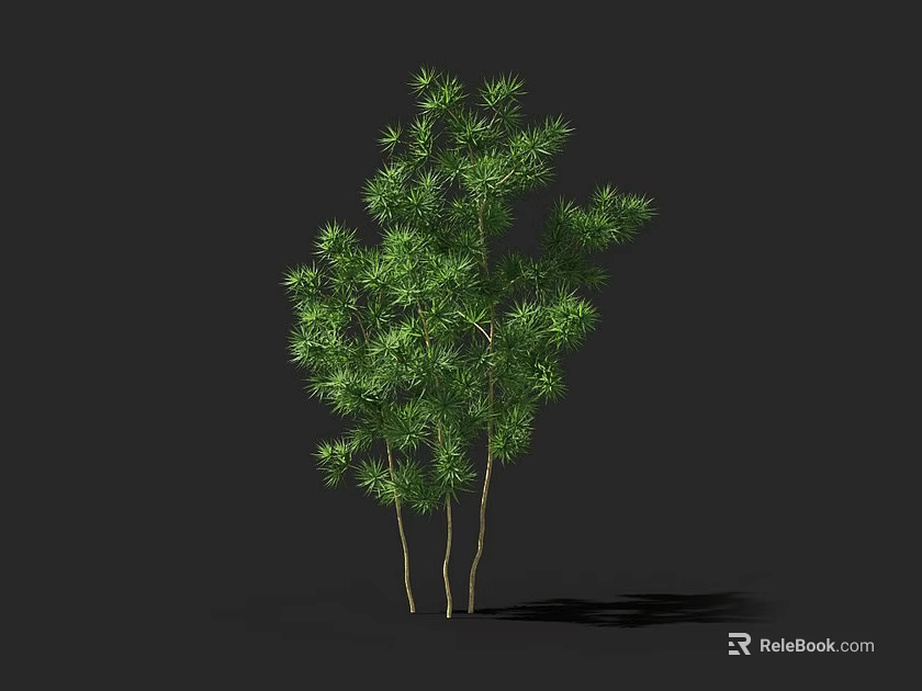 Lush Green Arbor With Multiple Trunks And Ground Shadow Against Dark Backdrop 3d model 