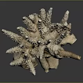 Coral Skeleton Structure In Marine Aquatic Life With Spiny Natural Formation