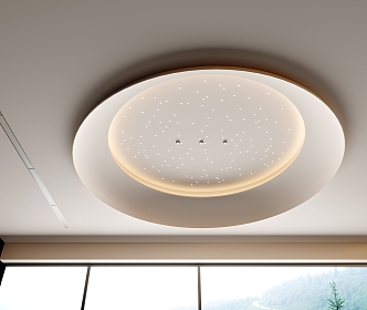 Round Star Ceiling 3d model