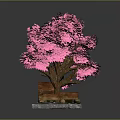 Ornamental Pink Tree with Lush Pink Leaves Brown Trunk on Square Decorative Base