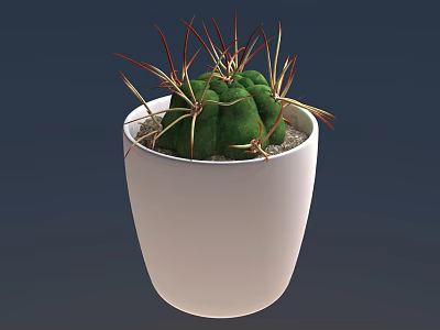 Stylish Potted Bonsai Cactus with Green Body and Red Yellow Spines in White Pot 3d model