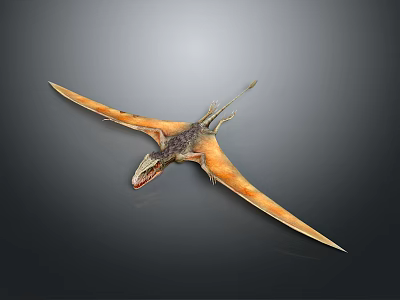Pterosaur Flying Prehistoric Reptile With Extended Wings And Detailed Skin 3d model
