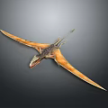 Pterosaur Flying Prehistoric Reptile With Extended Wings And Detailed Skin