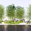 Tall Bamboo Grove Landscape With Green Grass Stones And Stone Pavement