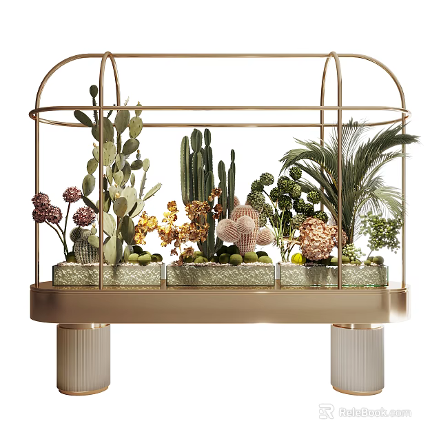 Garden Ornament Glass Terrarium With Golden Frame And Assorted Succulents Cacti Palm Leaves 3d model 