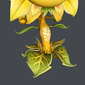 Cartoon Sunflower Character Creature With Yellow Petals Smiling Face Bright Eyes Golden Stem Green Leaves