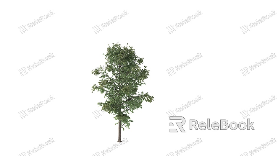 Tree Moving Tree Wind Blowing Tree Moving Tree Dynamic Tree Landscape Tree Sophora Tree Poplar Tree Acacia Tree model