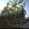 Modern Detached Villa With White Exterior Large Glass Windows Surrounding Trees And Waterfront View