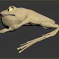 Frog Poison Frog Game Frog Reptile Cold Blooded Animal Reptile 3d model