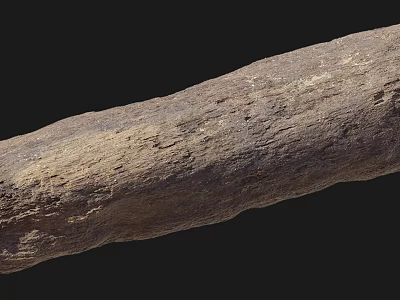 Wood Branches Dead Wood Trees Trunk Plants 3d model