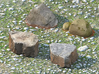 Natural Stones and Wood Pieces Scattered on Gravel and Grass Ground 3d model
