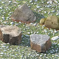 Natural Stones and Wood Pieces Scattered on Gravel and Grass Ground