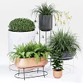 Various Bonsai and Potted Plants with Copper Marble Black Pots and Metal Stands