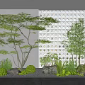 Serene Modern Indoor Landscape With Green Plants Trees Stones And Circular Perforated Partition Wall