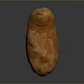Single Fresh Orange Potato with Natural Rough Skin Texture on Dark Background