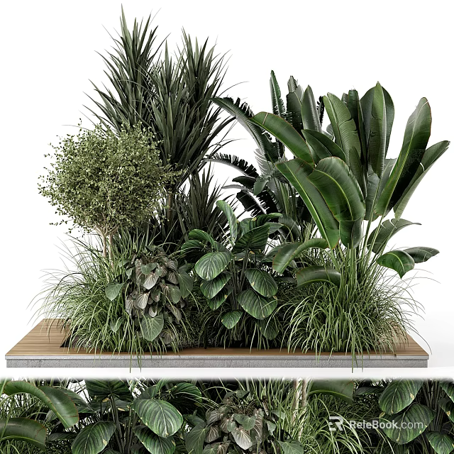 Various Bonsai Potted Plants With Lush Green Leaves And Different Leaf Shapes On Wooden Tray 3d model 